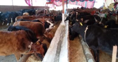 Pashu Mitra to take care of livestock at doorsteps HIMACHAL HEADLINES