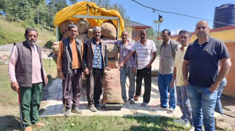 A Lifeline for Apple Growers: New HPMC Center Brings Hope and Relief to Jwalapur HIMACHAL HEADLINES