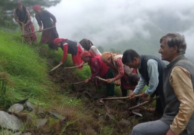 Himachal targets increase in Green Cover from 29.5 to 32 percent by 2030 