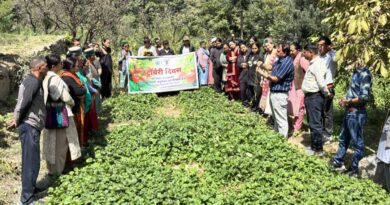 Strawberry Day Highlights Natural Farming and Diversification in Kinnaur HIMACHAL HEADLINES