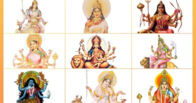 What is the Ayurvedic significance of these nine medicines known as the nine goddesses HIMACHAL HEADLINES