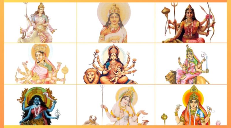 What is the Ayurvedic significance of these nine medicines known as the nine goddesses HIMACHAL HEADLINES