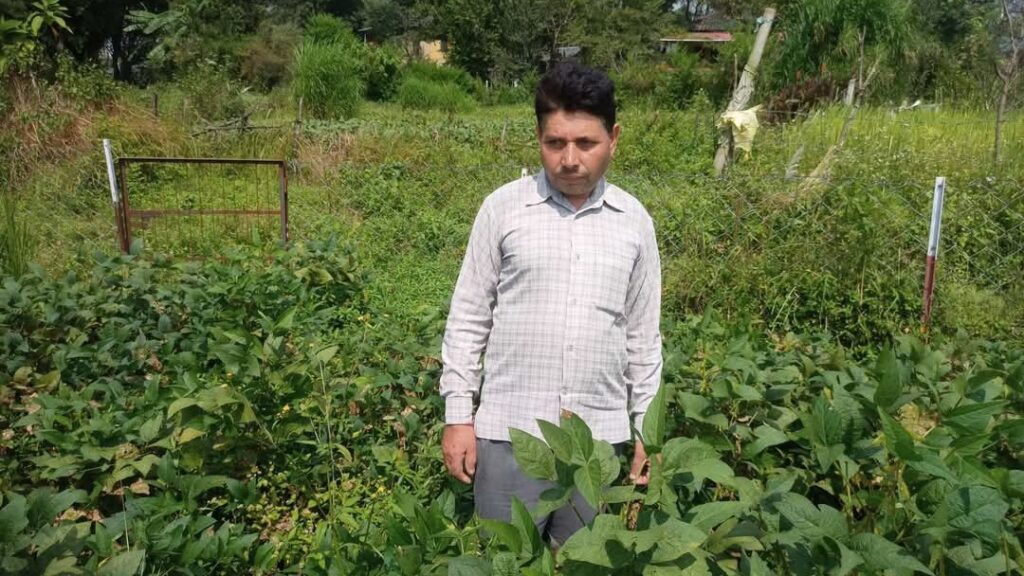 From Fear to Harvest: Roshan Lal Secures His Farm with Chain-Link Fencing to Keep Wild Animals at Bay From Fear to Harvest: Roshan Lal Secures His Farm with Chain-Link Fencing to Keep Wild Animals at Bay HIMACHAL HEADLINES
