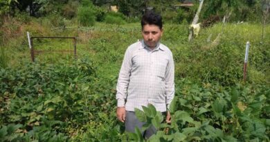 From Fear to Harvest: Roshan Lal Secures His Farm with Chain-Link Fencing to Keep Wild Animals at Bay HIMACHAL HEADLINES