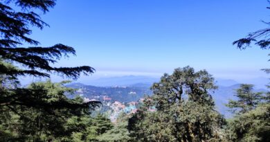 Shimla Races Against Time to Map Forest Land Amid Supreme Court Push and Local Concerns Shimla Races Against Time to Map Forest Land Amid Supreme Court Push and Local Concerns HIMACHAL HEADLINES