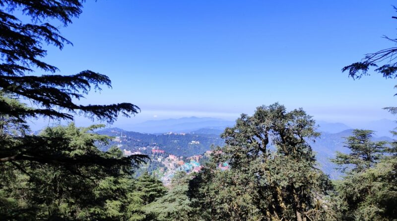 Shimla Races Against Time to Map Forest Land Amid Supreme Court Push and Local Concerns HIMACHAL HEADLINES