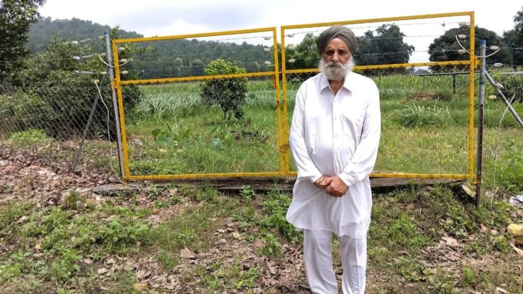 From Sleepless Nights to Sweet Harvests: A Farmer's New Hope HIMACHAL HEADLINES