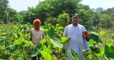 From Principal to Produce King: Kamlesh Kumar's Blooming Second Act From Principal to Produce King: Kamlesh Kumar's Blooming Second Act HIMACHAL HEADLINES