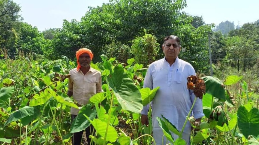 From Principal to Produce King: Kamlesh Kumar's Blooming Second Act HIMACHAL HEADLINES