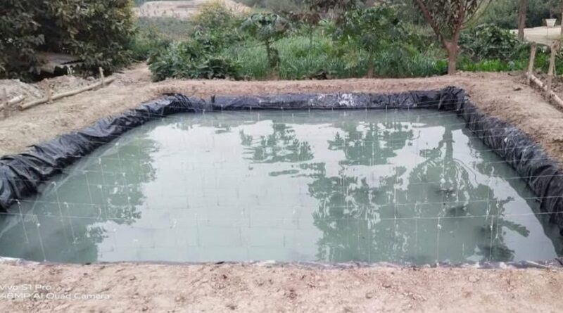 A New Wave of Opportunity: Mandi's Youth Reel in Success with Fish Farming HIMACHAL HEADLINES