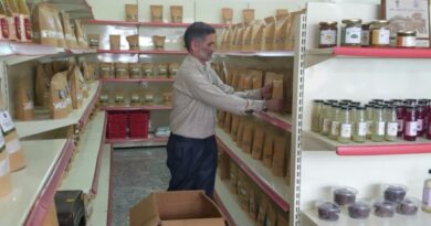 From the Ground Up: Sarvan Kumar's Leap into Natural Farming From the Ground Up: Sarvan Kumar's Leap into Natural Farming HIMACHAL HEADLINES