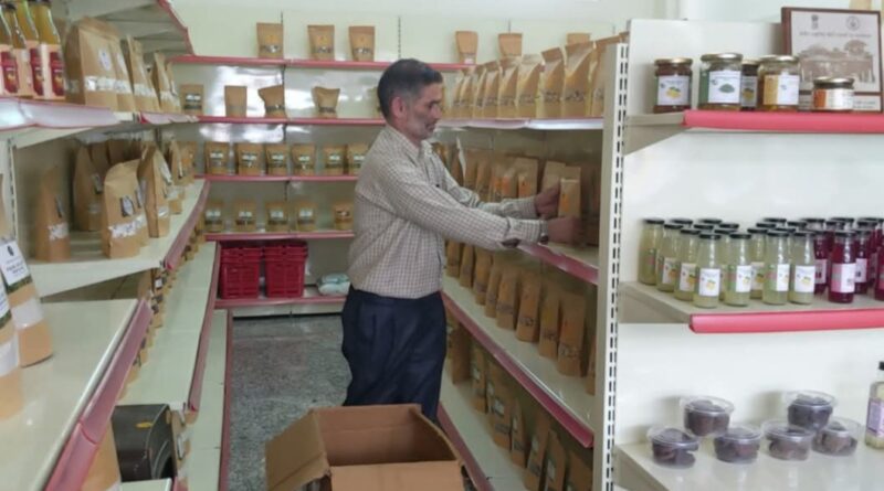 From the Ground Up: Sarvan Kumar's Leap into Natural Farming From the Ground Up: Sarvan Kumar's Leap into Natural Farming HIMACHAL HEADLINES