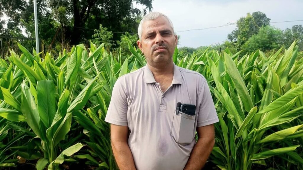Himachal's Green Revolution: How is Una Leading the Way in Natural Farming HIMACHAL HEADLINES