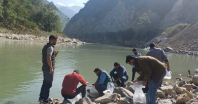 New Life for the Vyas: 5,000 Mahashir Fingerlings Released to Revive the River HIMACHAL HEADLINES