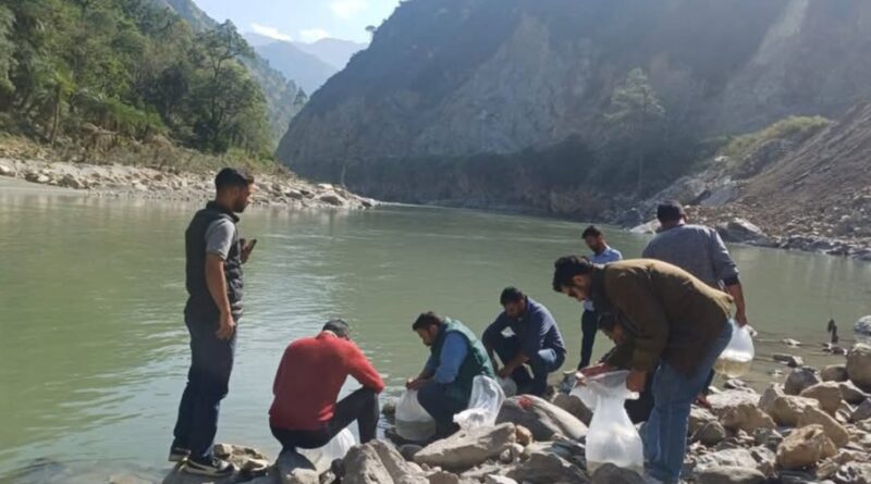 New Life for the Vyas: 5,000 Mahashir Fingerlings Released to Revive the River New Life for the Vyas: 5,000 Mahashir Fingerlings Released to Revive the River HIMACHAL HEADLINES