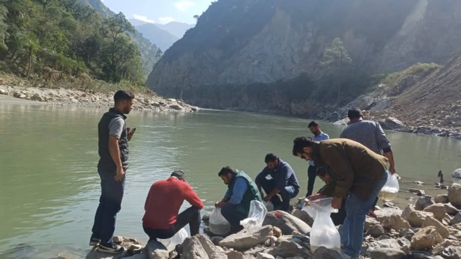 New Life for the Vyas: 5,000 Mahashir Fingerlings Released to Revive the River HIMACHAL HEADLINES