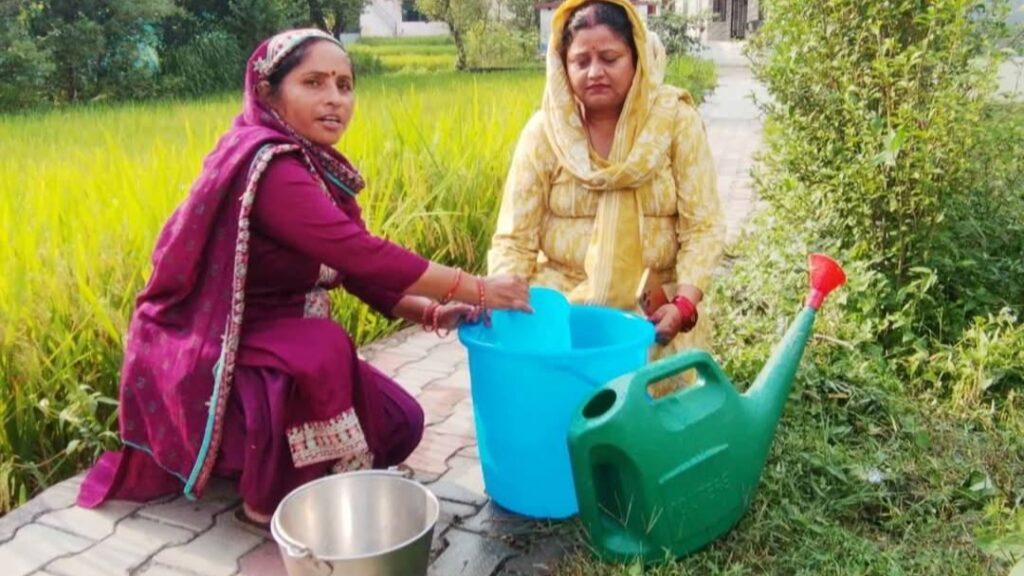 Kangra's Green Revolution: Farmers & Soil Reap the Rewards of Natural Farming Kangra's Green Revolution: Farmers & Soil Reap the Rewards of Natural Farming HIMACHAL HEADLINES