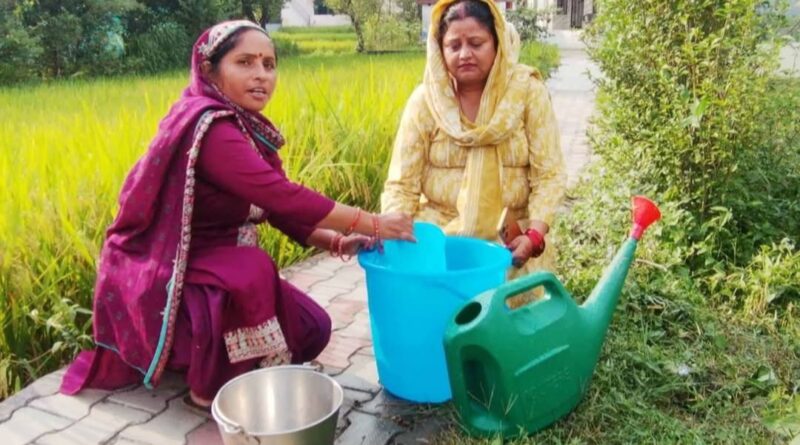 Kangra's Green Revolution: Farmers & Soil Reap the Rewards of Natural Farming Kangra's Green Revolution: Farmers & Soil Reap the Rewards of Natural Farming HIMACHAL HEADLINES