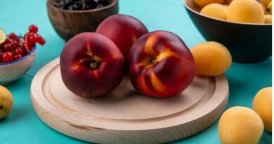 Stone Fruits Take Center Stage: Himachal Hosts National Conclave to Rethink Orchard Futures HIMACHAL HEADLINES