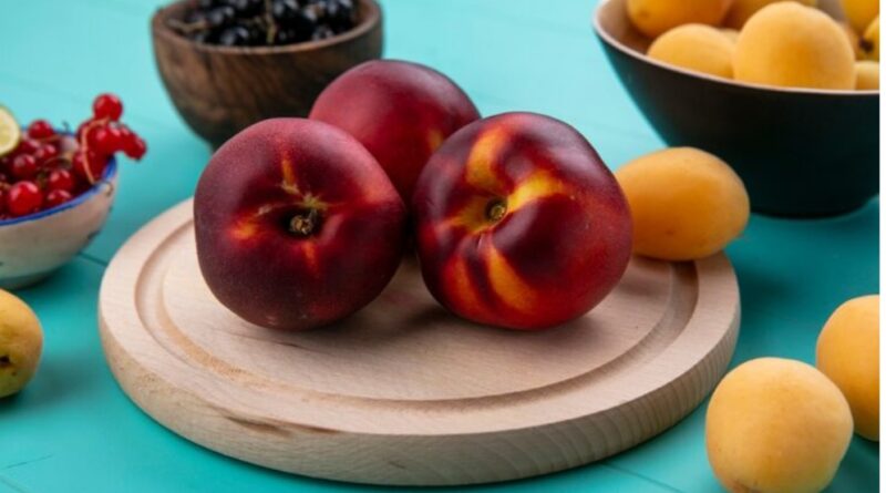 Stone Fruits Take Center Stage: Himachal Hosts National Conclave to Rethink Orchard Futures Stone Fruits Take Center Stage: Himachal Hosts National Conclave to Rethink Orchard Futures HIMACHAL HEADLINES