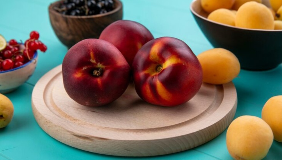 Himachal’s Orchard Future: Stone Fruits Take Center Stage at National Conclave in Kotgarh Himachal’s Orchard Future: Stone Fruits Take Center Stage at National Conclave in Kotgarh HIMACHAL HEADLINES