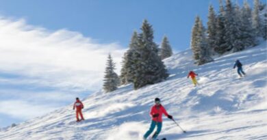 Himalayan Activists Claim Political Theatre Overshadows Real Environmental Struggles HIMACHAL HEADLINES