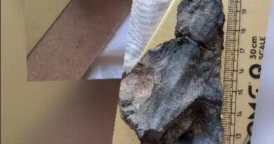 Unearthing Time: 45-Million-Year-Old Snakehead Fish Fossil Found in Himachal’s Ancient Waters HIMACHAL HEADLINES