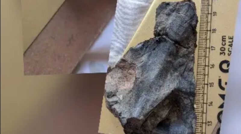 Unearthing Time: 45-Million-Year-Old Snakehead Fish Fossil Found in Himachal’s Ancient Waters HIMACHAL HEADLINES