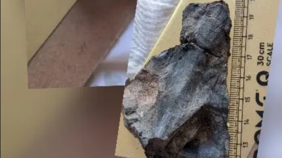 Unearthing Time: 45-Million-Year-Old Snakehead Fish Fossil Found in Himachal’s Ancient Waters Unearthing Time: 45-Million-Year-Old Snakehead Fish Fossil Found in Himachal’s Ancient Waters HIMACHAL HEADLINES