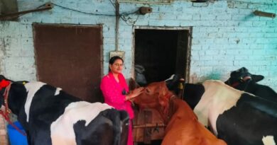 From Classroom to Cowshed: How Sonika's 'Smart Work' is Churning a Dairy Revolution HIMACHAL HEADLINES