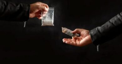 Himachal Police Tighten the Net: 16 Chitta Traffickers Nabbed in Statewide Crackdown HIMACHAL HEADLINES