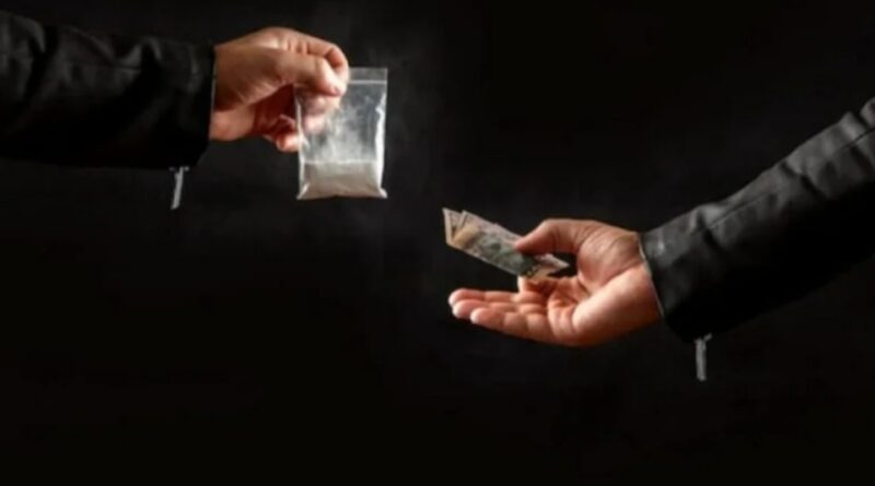 Himachal Police Tighten the Net: 16 Chitta Traffickers Nabbed in Statewide Crackdown HIMACHAL HEADLINES