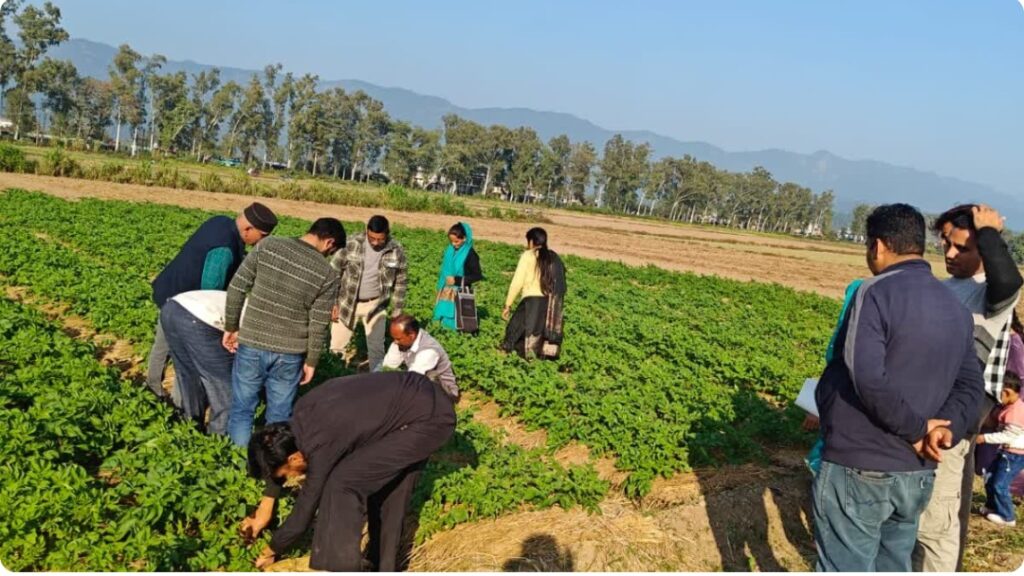 Nauni varsity issues Advisory to Combat Drought Stress in Horticultural Crops HIMACHAL HEADLINES