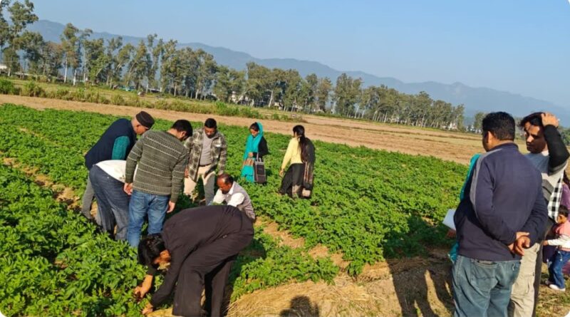 Nauni varsity issues Advisory to Combat Drought Stress in Horticultural Crops Nauni varsity issues Advisory to Combat Drought Stress in Horticultural Crops HIMACHAL HEADLINES