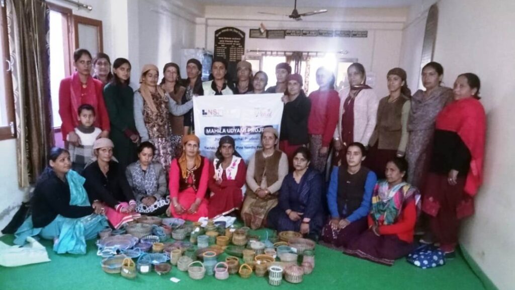 Women made various products from pine leaves HIMACHAL HEADLINES