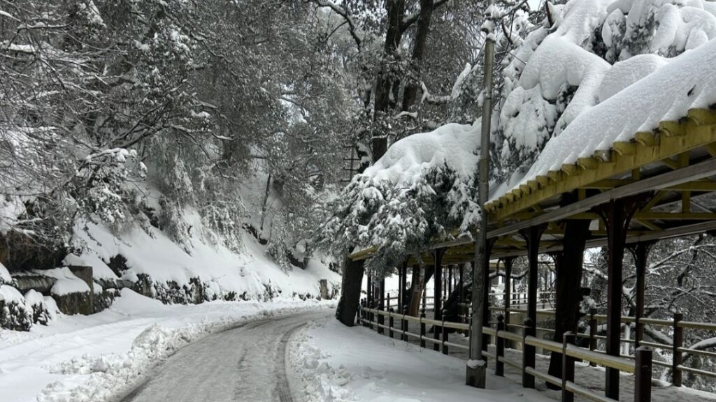 Himachal Braces for More Snow : Government takes Urgent Steps to Keep Communities Safe Himachal Braces for More Snow : Government takes Urgent Steps to Keep Communities Safe HIMACHAL HEADLINES