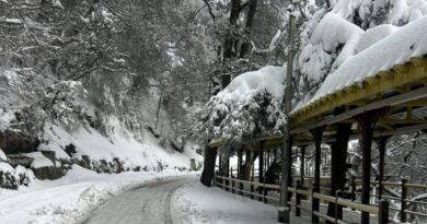 Himachal Braces for More Snow : Government takes Urgent Steps to Keep Communities Safe HIMACHAL HEADLINES