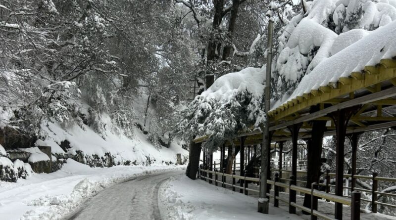 Himachal Braces for More Snow : Government takes Urgent Steps to Keep Communities Safe HIMACHAL HEADLINES