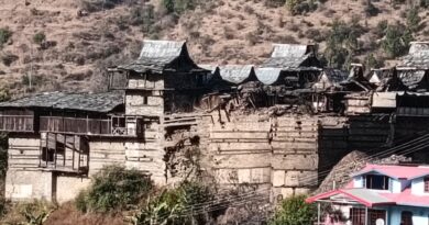 Damaged pieces of the deity Junga were found during the removal of debris from the palace HIMACHAL HEADLINES