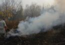 Smoke in the Apple Belt: Twig Burning Turns Himachal’s Orchards into Pollution Hotspots