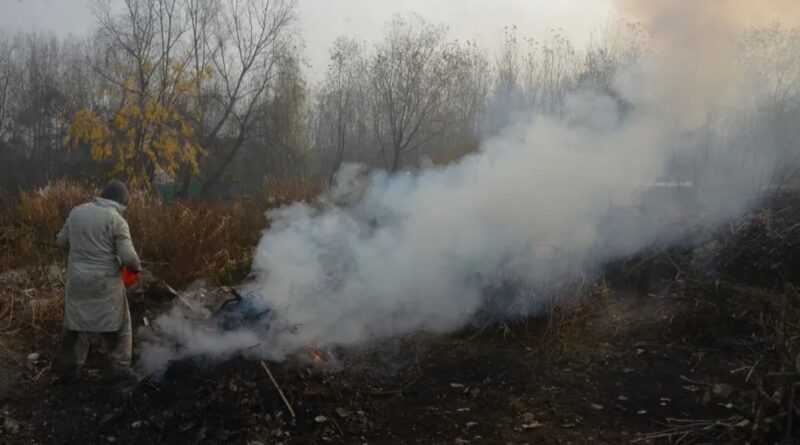 Smoke in the Apple Belt: Twig Burning Turns Himachal’s Orchards into Pollution Hotspots HIMACHAL HEADLINES