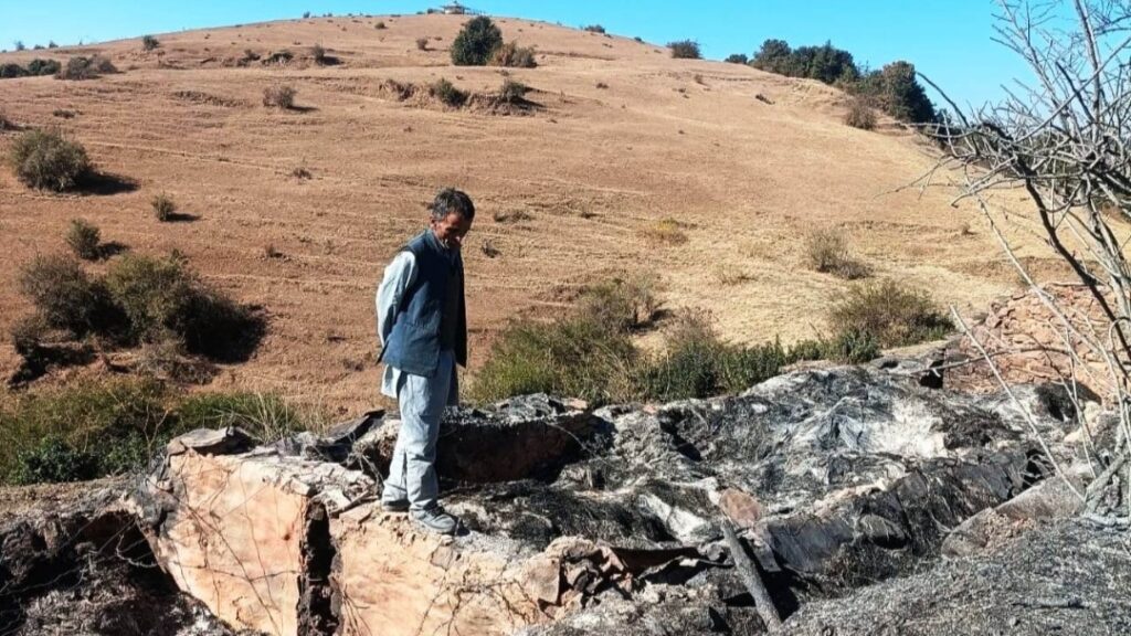 Miscreants set fire to temporary sheds of buffalo herders and reduced them to ashes Miscreants set fire to temporary sheds of buffalo herders and reduced them to ashes HIMACHAL HEADLINES