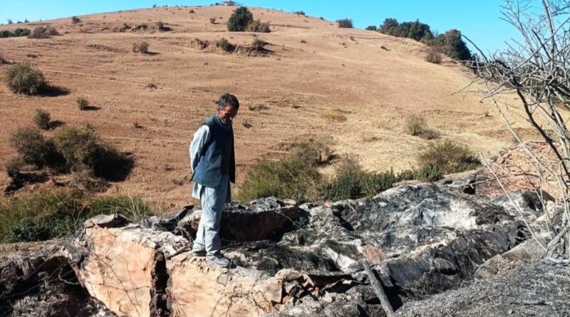 Miscreants set fire to temporary sheds of buffalo herders and reduced them to ashes HIMACHAL HEADLINES