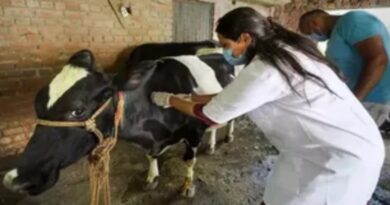 Physical test for Pashu Mitras based on policy and safety HIMACHAL HEADLINES