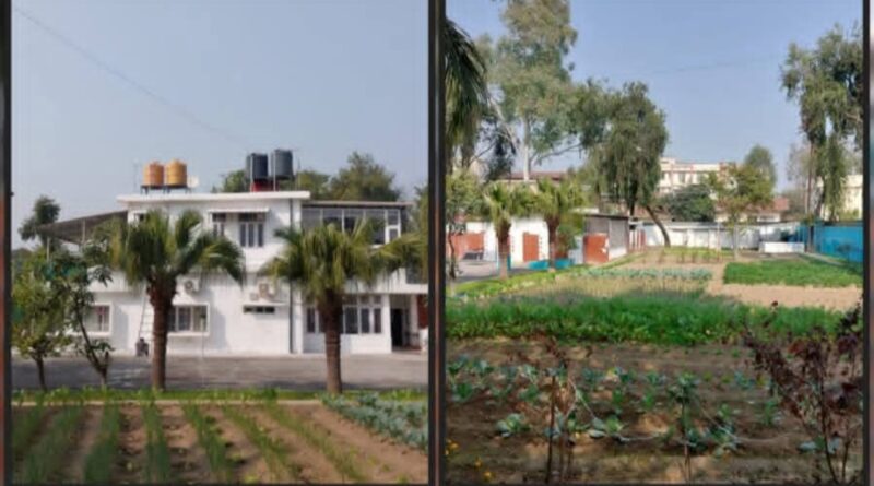 From Policy to Plate: A Deputy Commissioner’s Garden Shows the Way HIMACHAL HEADLINES