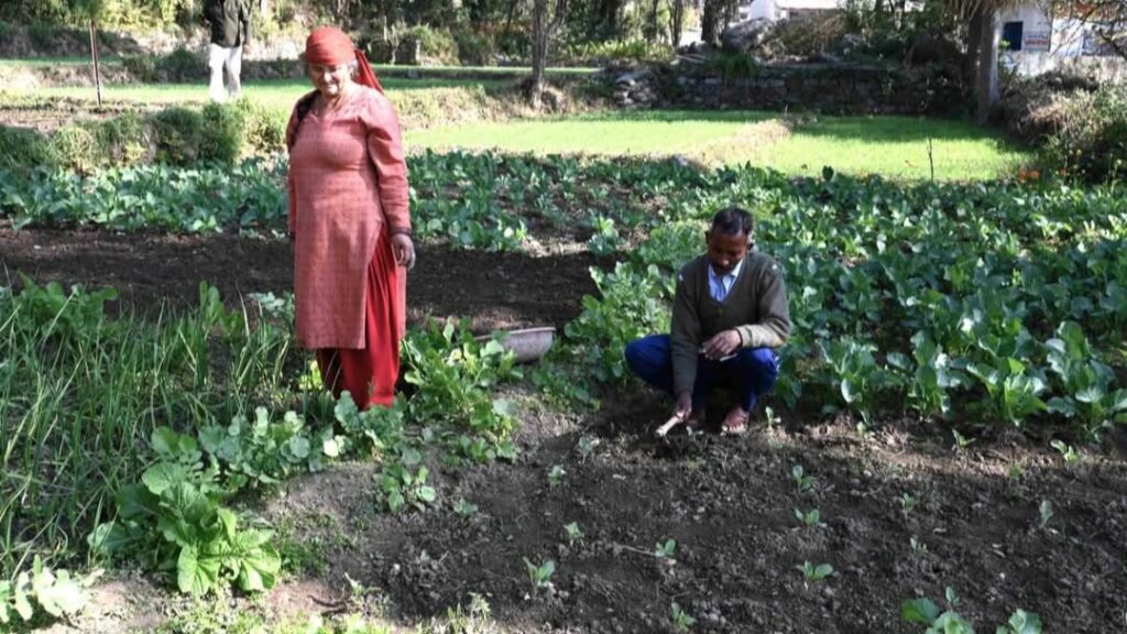 From Fields to Self-Reliance: Natural Farming Transforms Lives in Joginder Nagar HIMACHAL HEADLINES