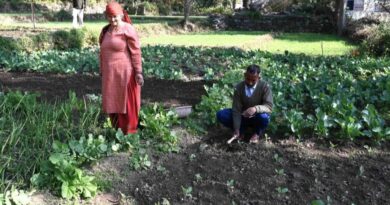 From Fields to Self-Reliance: Natural Farming Transforms Lives in Joginder Nagar HIMACHAL HEADLINES