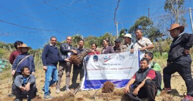 Growing Hope : Farmers Embrace Apples, Mushrooms, and Medicinal Plants HIMACHAL HEADLINES