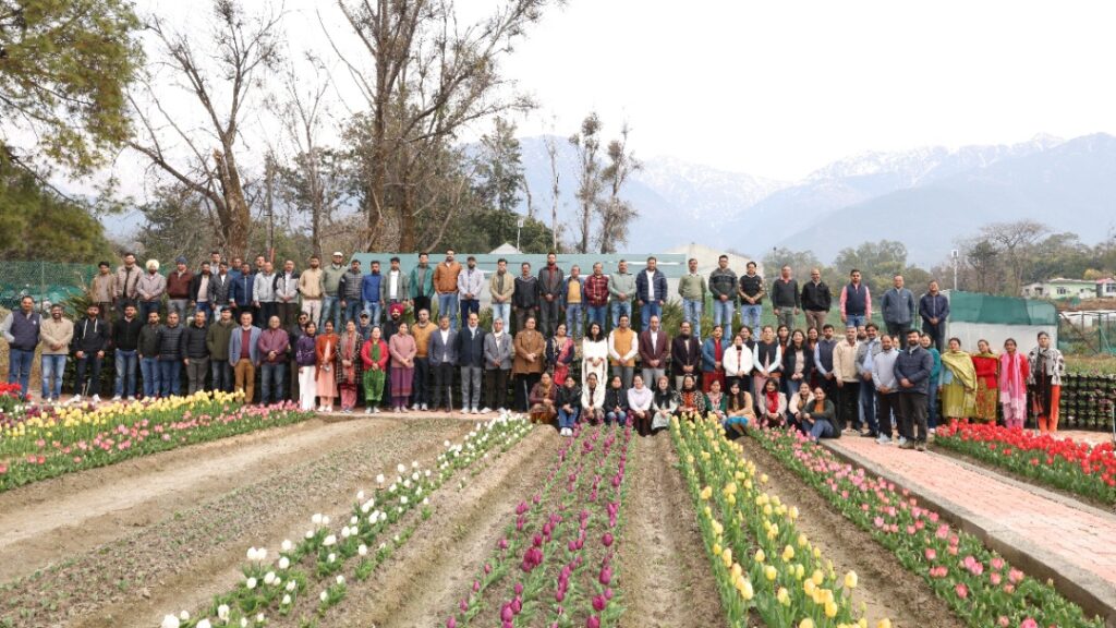 Palampur’s Tulip Garden Blooms Again, Welcoming Visitors with Science and Splendor HIMACHAL HEADLINES