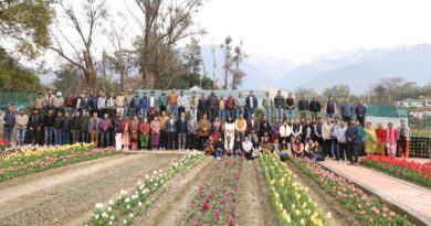 Palampur’s Tulip Garden Blooms Again, Welcoming Visitors with Science and Splendor HIMACHAL HEADLINES